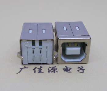 海南USB BF180度母座 打印机接口 立式直插带赛
