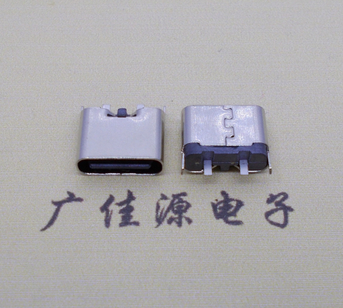 海南铆合式type c2p母座两脚插板尾部带卡扣