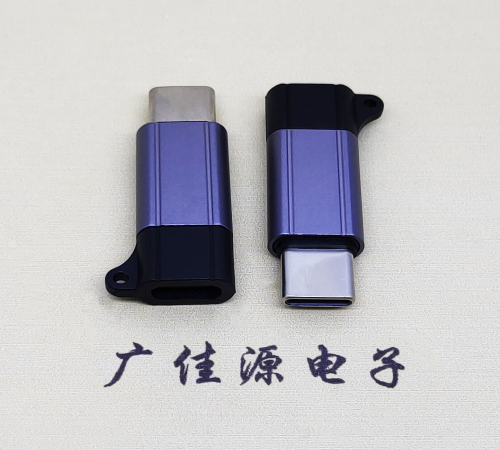 海南Type-C母转Type-C公 USB3.1 PD100W快冲接口